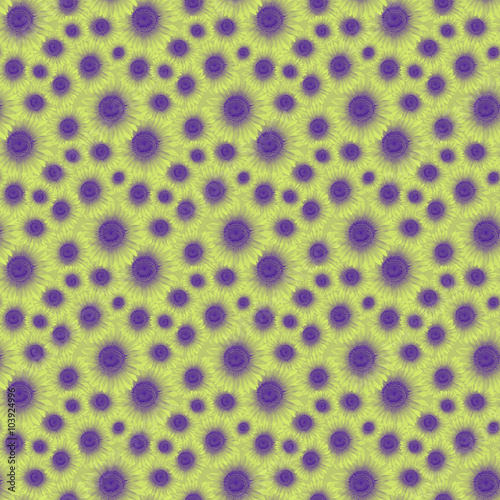 pattern flower sunflower