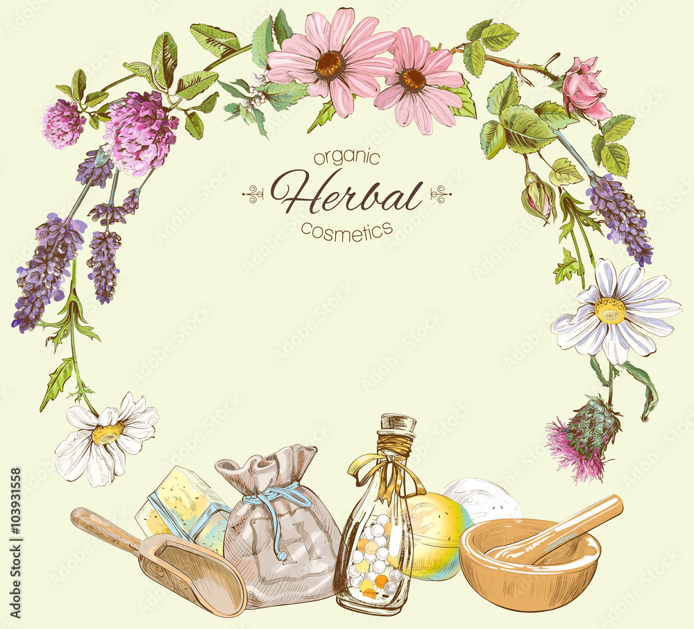 Vector vintage round frame with wild flowers and medicinal herbs.Design ...