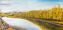 Beautiful Taiga River. Oil Painting