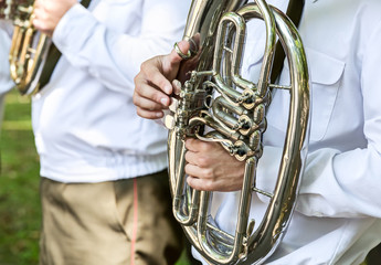 Wall Mural - military brass band musicians with tuba