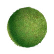 Grass ball isolated.
