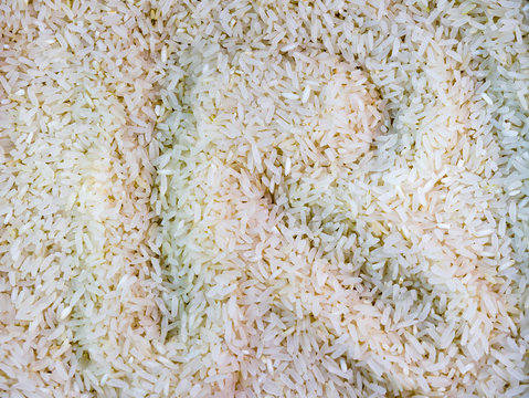 R letter in rice