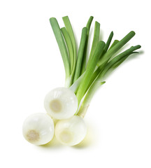 Wall Mural - Green spring onion square composition isolated