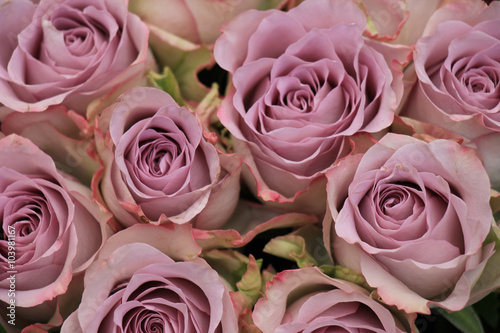 fioletowe-roze