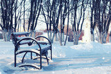 Fototapeta Most - Winter street bench in city