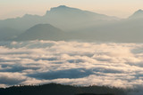 Fototapeta Krajobraz - A sea of mist at dawn