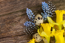 Muscari, Daffodils  And Eggs 