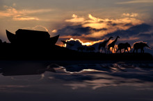 Noah's Ark And Animals, Sunset In Background