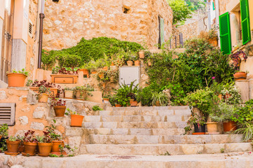 Wall Mural - Typical plant decoration at an mountain village at Majorca Spain