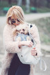 © sergiubirca - young caucasian cute girl portrait with dog outdoor in park walking happy and smile all the way