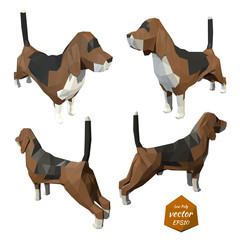 Set the dogs on a white background. Low poly style. Vector illus