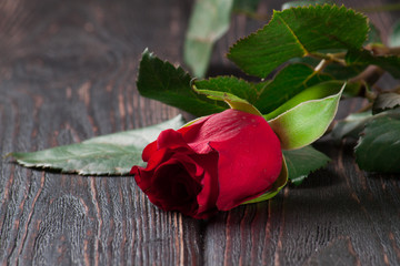 Poster - Roses and card on wood