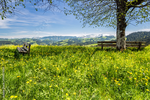 Fototapeta na szkło Wiosny łąka w Emmental, Szwajcaria