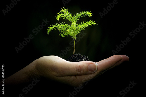 Fotografie, Obraz Cradling New Life/ Hand Holding Baby Plant On Dark Background