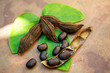 Mucuna pruriens seed or Velvet bean.