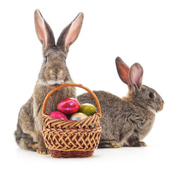 Canvas Print - Easter basket and rabbits.