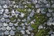 Old gray stone roof covered with moss