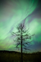 Wall Mural - northern lights aurora borealis landscape