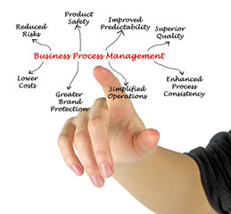 Wall Mural - Diagram of Business Process Management