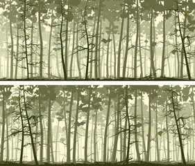 Wall Mural - Horizontal wide banners of coniferous wood.