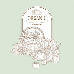 Sticker - Organic, Vector Illustration Banner