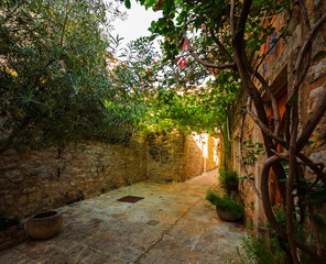 Wall Mural - view narrow street in old district of Budva, Montenegro