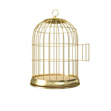 3d Golden Birdcage
