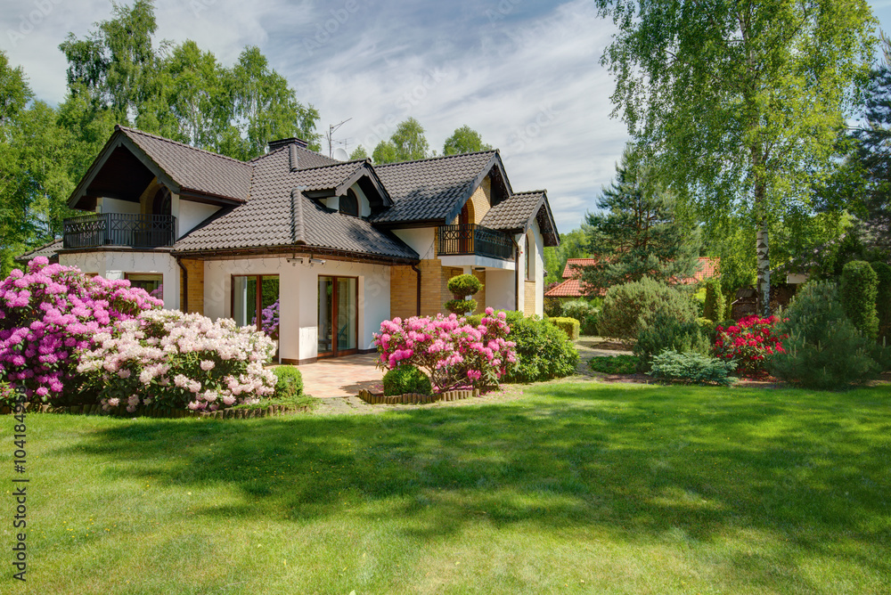 Elegant new villa with backyard - obrazy, fototapety, plakaty 