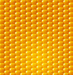 vector background. Yellow corn