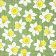 Seamless pattern with daffodils. Hand-drawn  vector illustration