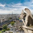 Gargoyle and city view from the roof of Notre Dame de Paris