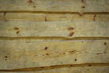 Wall Mural -  wood texture