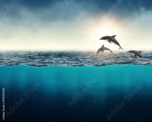 Fotomural Abstract background with dolphins
