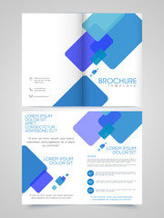 Poster - Professional Business Brochure, Template or Flyer.