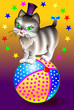 Illustration of funny cat sitting on ball, vector cartoon image.