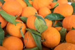 tangerines at the city market