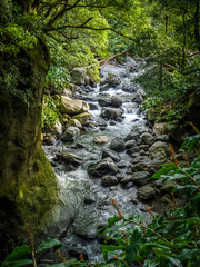 Wall Mural - Gorge river