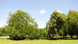 Fototapeta Natura - French coutryside panorama