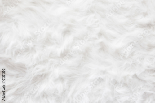 De-focused Sheep wool fur background texture wallpaper. Tableau sur Toile