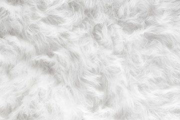 Sheep wool fur background texture wallpaper.