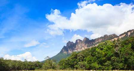 Wall Mural - Mountains in national park canaima