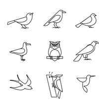 Birds Icons Thin Line Art Set