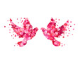 Wedding symbol - couple dove of pink rose petals. Love