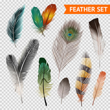 Feathers Realistic Set