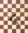 Two wooden chess pieces alone on a chess board.  Over head view.