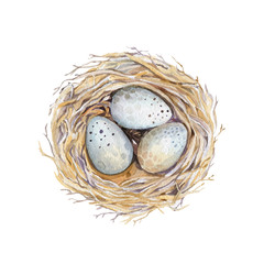  Hand drawn watercolor art bird nest with eggs , easter design. 