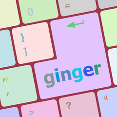 Poster - ginger word on keyboard key, notebook computer button vector illustration
