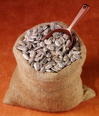 Poster - SACK OF SUNFLOWER SEEDS