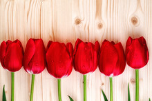 Red Tulips In Line Over Wooden Background