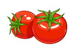 Pair red ripe tomato vector illustration eps10